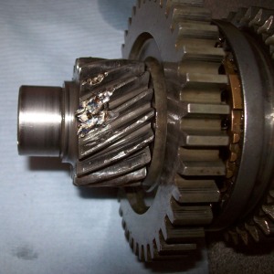 20090514-pinion