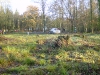 DSC03852