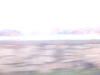 DSCF4230